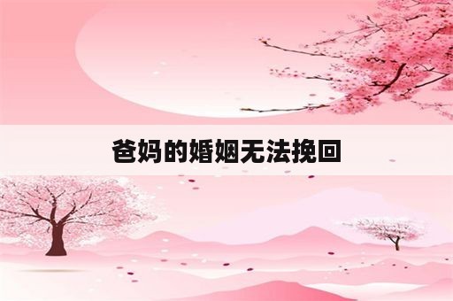 爸妈的婚姻无法挽回