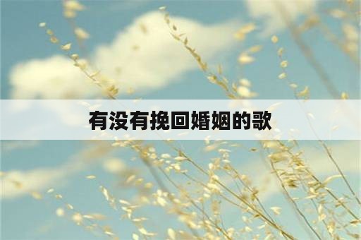 有没有挽回婚姻的歌