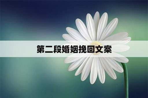 第二段婚姻挽回文案