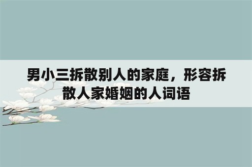 男小三拆散别人的家庭，形容拆散人家婚姻的人词语