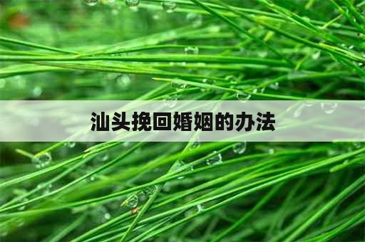 汕头挽回婚姻的办法