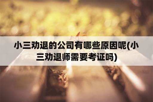 小三劝退的公司有哪些原因呢(小三劝退师需要考证吗)