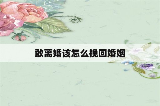 敢离婚该怎么挽回婚姻