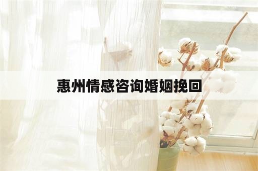 惠州情感咨询婚姻挽回