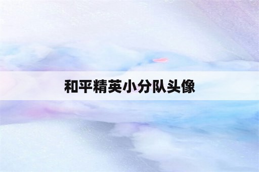 和平精英小分队头像