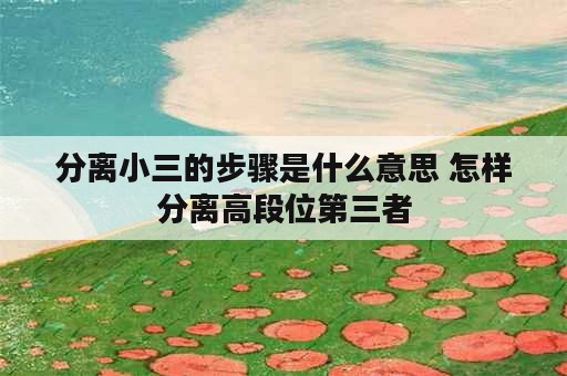 分离小三的步骤是什么意思 怎样分离高段位第三者