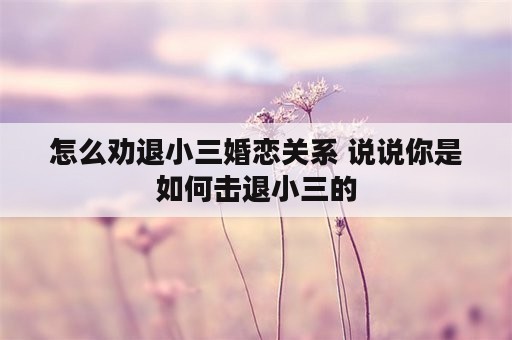 怎么劝退小三婚恋关系 说说你是如何击退小三的