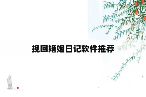 挽回婚姻日记软件推荐