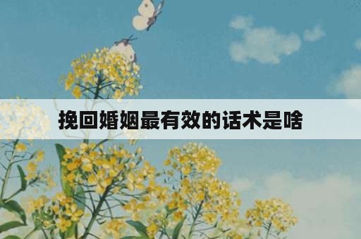 挽回婚姻最有效的话术是啥