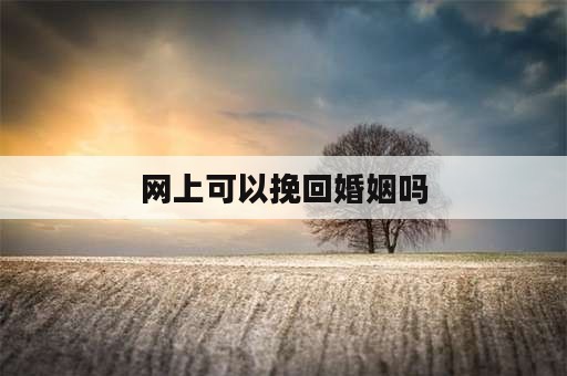 网上可以挽回婚姻吗