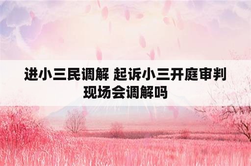 进小三民调解 起诉小三开庭审判现场会调解吗