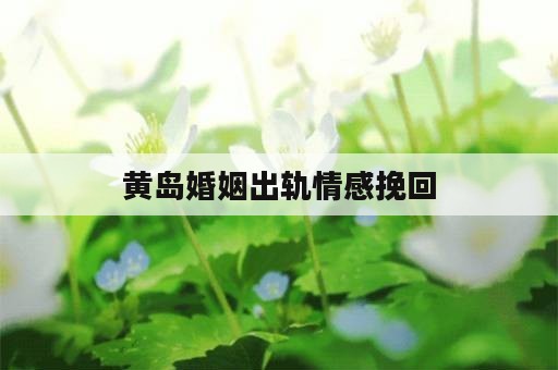 黄岛婚姻出轨情感挽回