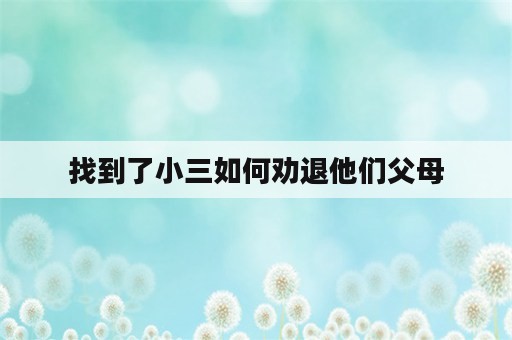 找到了小三如何劝退他们父母