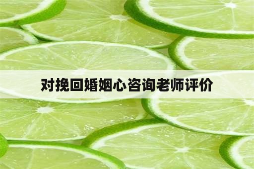 对挽回婚姻心咨询老师评价