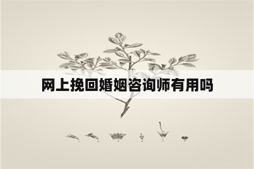 网上挽回婚姻咨询师有用吗