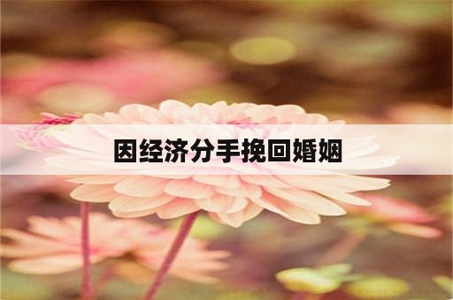 因经济分手挽回婚姻