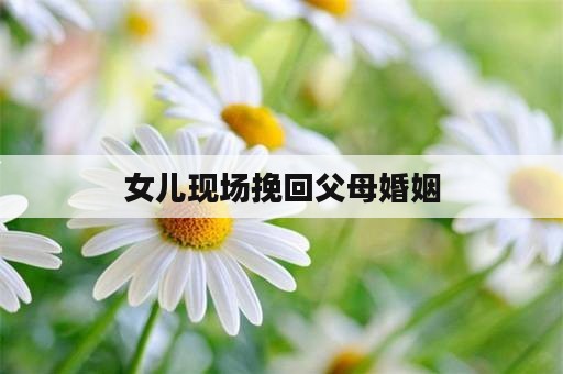 女儿现场挽回父母婚姻