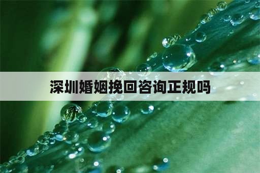 深圳婚姻挽回咨询正规吗