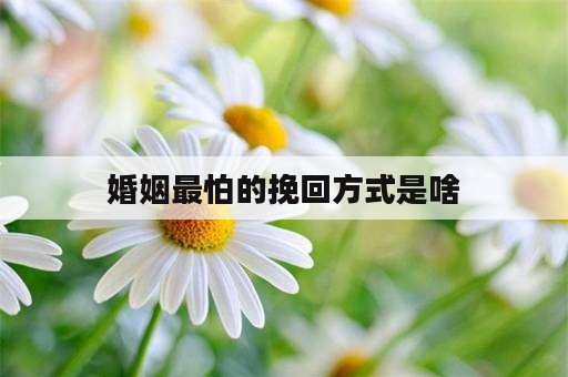 婚姻最怕的挽回方式是啥