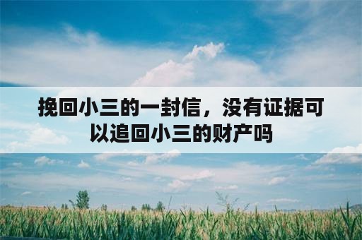 挽回小三的一封信，没有证据可以追回小三的财产吗