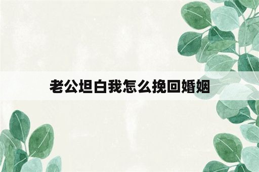 老公坦白我怎么挽回婚姻