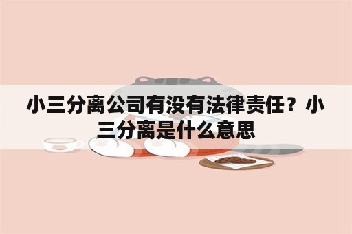 小三分离公司有没有法律责任？小三分离是什么意思