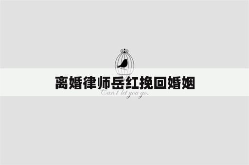 离婚律师岳红挽回婚姻