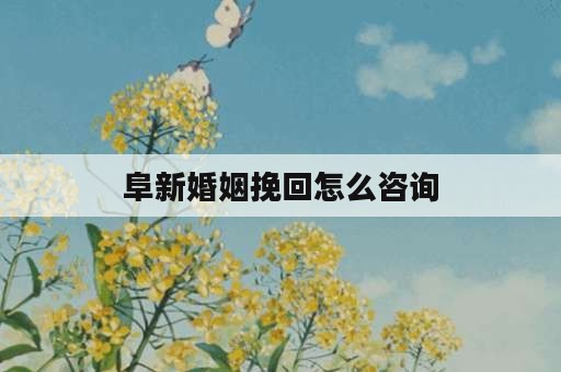 阜新婚姻挽回怎么咨询