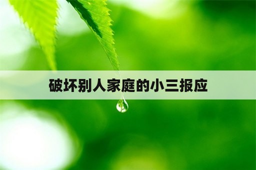 破坏别人家庭的小三报应