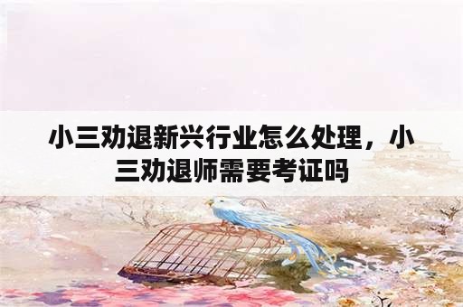 小三劝退新兴行业怎么处理，小三劝退师需要考证吗