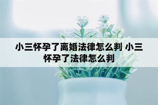 小三怀孕了离婚法律怎么判 小三怀孕了法律怎么判