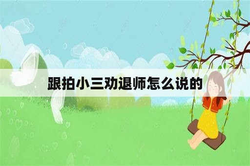 跟拍小三劝退师怎么说的