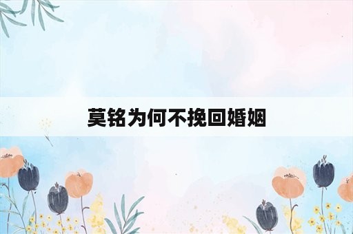 莫铭为何不挽回婚姻