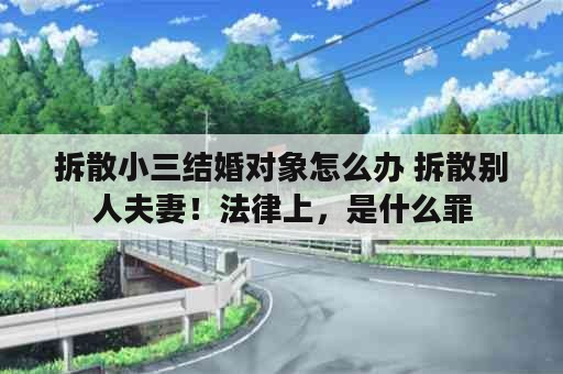 拆散小三结婚对象怎么办 拆散别人夫妻！法律上，是什么罪