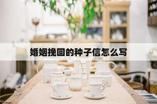 婚姻挽回的种子信怎么写