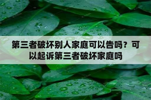 第三者破坏别人家庭可以告吗？可以起诉第三者破坏家庭吗