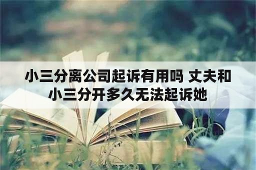 小三分离公司起诉有用吗 丈夫和小三分开多久无法起诉她