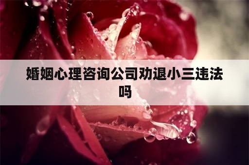 婚姻心理咨询公司劝退小三违法吗