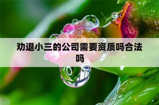 劝退小三的公司需要资质吗合法吗