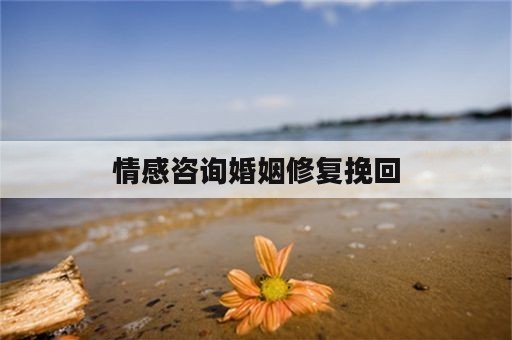 情感咨询婚姻修复挽回