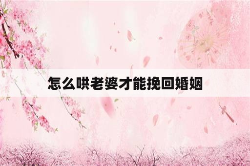 怎么哄老婆才能挽回婚姻