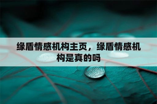 缘盾情感机构主页，缘盾情感机构是真的吗