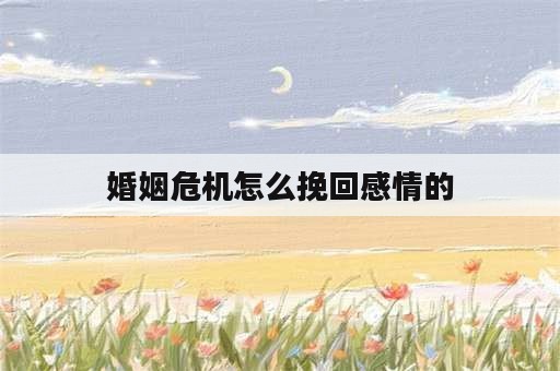 婚姻危机怎么挽回感情的