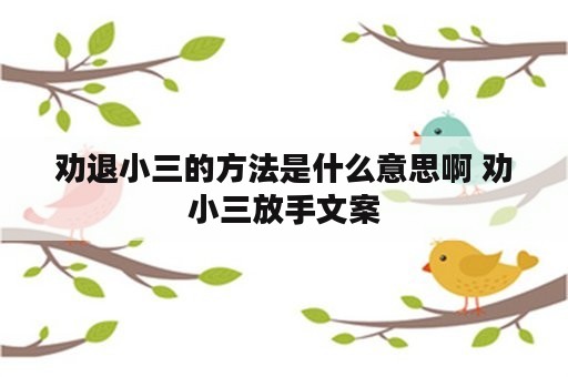 劝退小三的方法是什么意思啊 劝小三放手文案