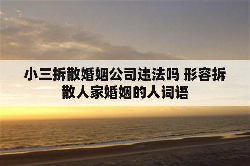 小三拆散婚姻公司违法吗 形容拆散人家婚姻的人词语