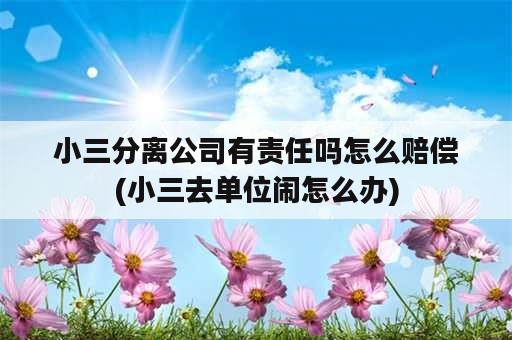 小三分离公司有责任吗怎么赔偿(小三去单位闹怎么办)