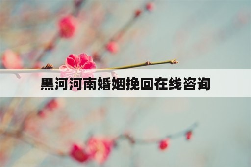 黑河河南婚姻挽回在线咨询