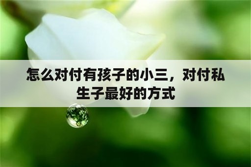 怎么对付有孩子的小三，对付私生子最好的方式