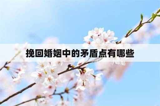 挽回婚姻中的矛盾点有哪些