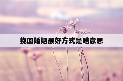 挽回婚姻最好方式是啥意思